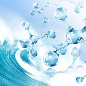 Marine Collagen